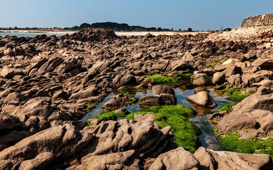 Rocky landscape with some moss and water in Brittany in northern France.