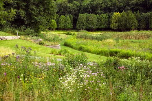 A Verdant Summer Garden with Wildflowers and Water