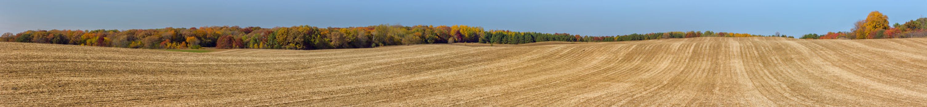 Panorama of a Plowed Field in Autumn