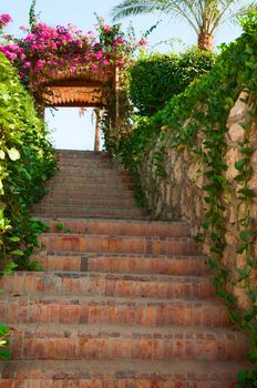 Green stairs with flowers on arch and blue sly on background