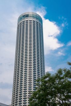 Skyscraper with blue sky on background and tree on front