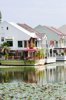 Luxury houses on a lake with focus on flowers on front