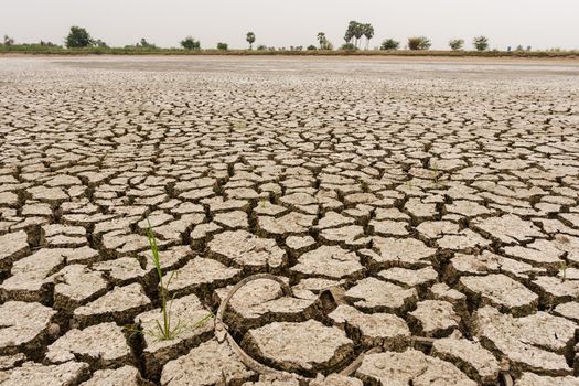 Dry cracked earth in Thailand