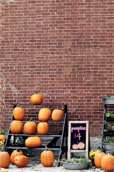 Pumpkins for sale against a brick wall.