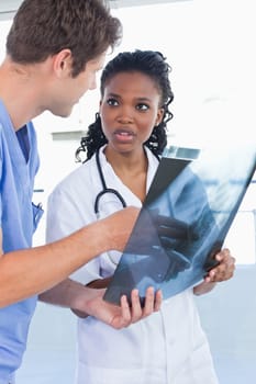 Portrait of young doctors looking at a of X-ray in an office