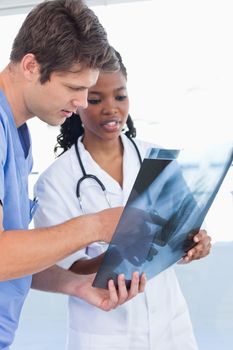 Portrait of serious doctors looking at a of X-ray in an office