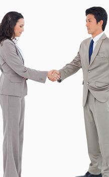 Young sales people shaking hands against a white background