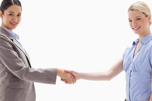 Close-up of smiling women shaking hands against white background