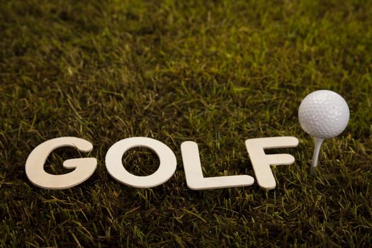 Golf club