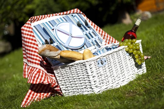 Picnic