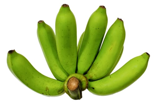 bunch of green bananas on white background