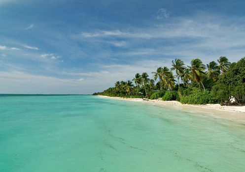 Tropical Maldivian Beach. Indian Ocean Side