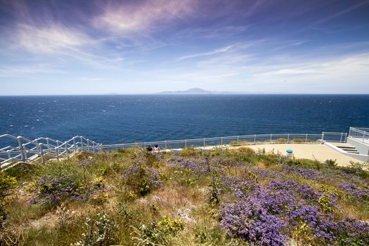 Flowers in Bloom at Europa Point in Gibraltar