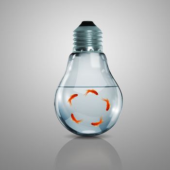 Gold fish in water inside an electric light bulb