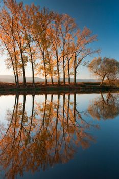 Autumn reflection on the Berounka river in Czech Republic