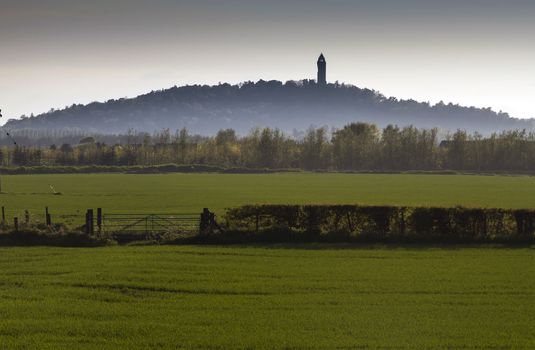 Misty Wallace Monument in the Distance