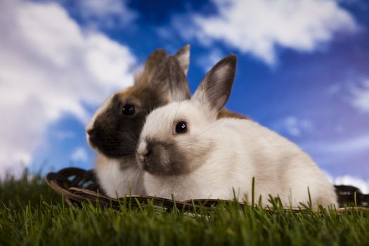 Happy Easter
