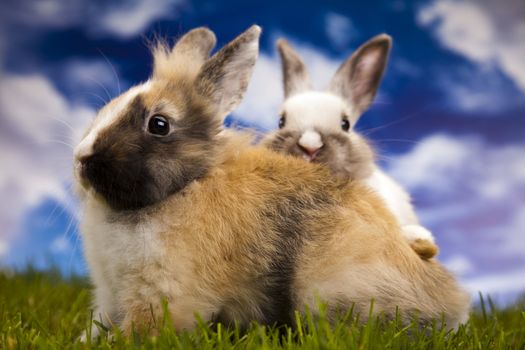 Happy Easter