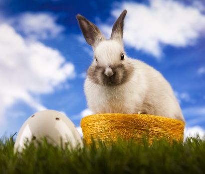 Happy Easter