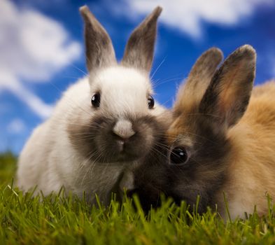 Happy Easter
