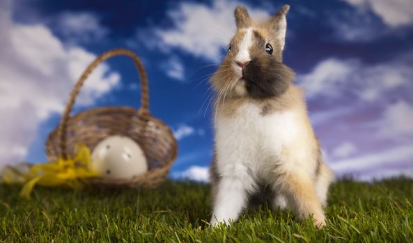 Happy Easter