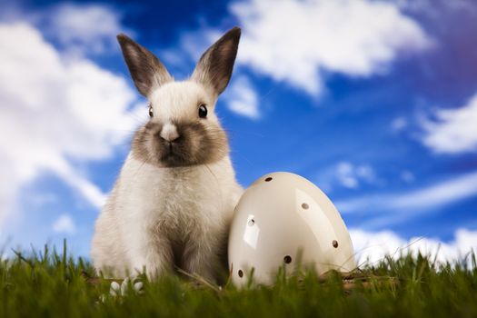 Happy Easter