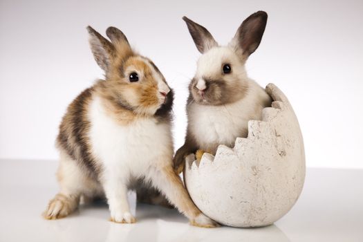 Happy Easter