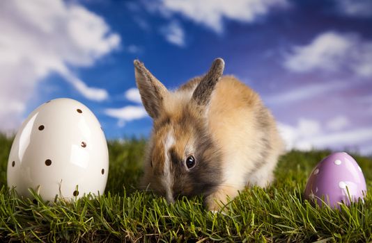 Happy Easter