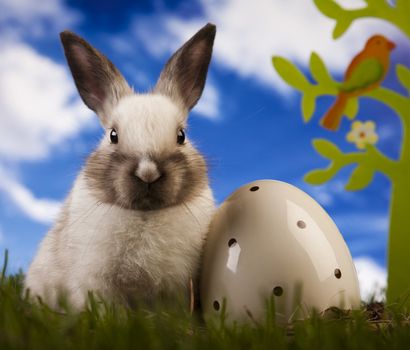 Happy Easter