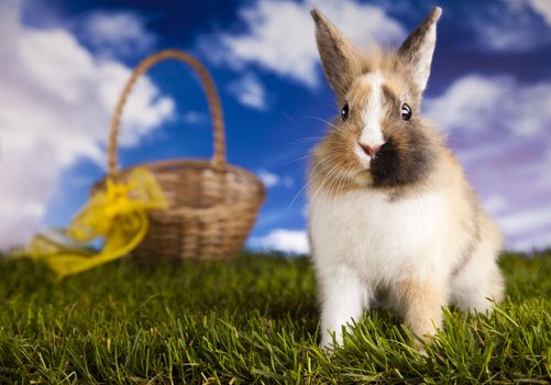 Happy Easter