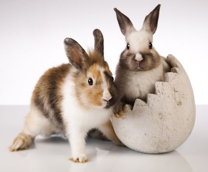 Happy Easter