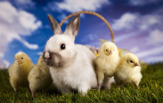 Happy Easter