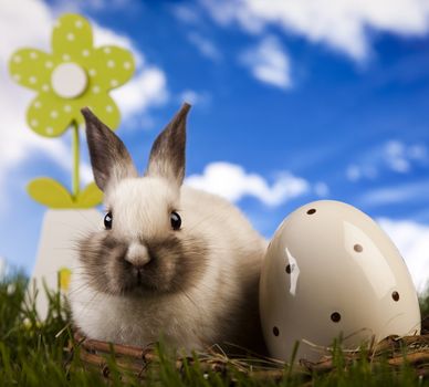 Happy Easter