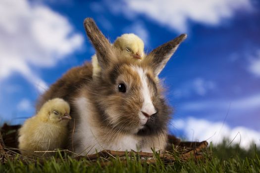 Happy Easter