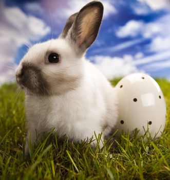 Happy Easter