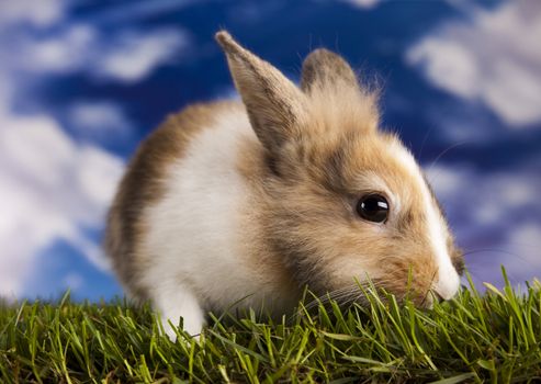 Happy Easter
