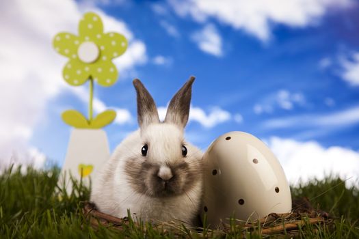 Happy Easter