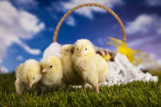 Happy Easter