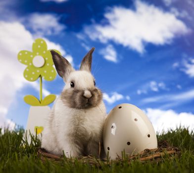 Happy Easter