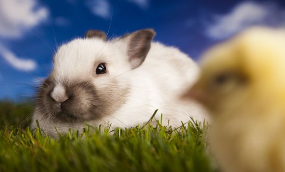Happy Easter