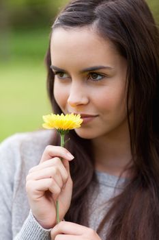 Relaxed young girl standing in a public garden while holding a beautiful yellow flower