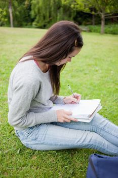Young serious student sitting in a parkland while doing her homework on a notebook