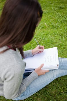 Overhead view of a young girl doing her homework while sitting in a parkland