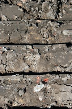 traces of the excavator