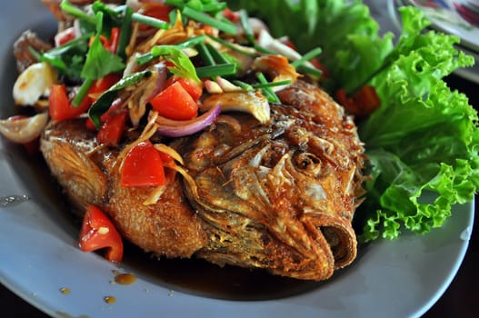 Thai food fried fish with spicy sauce