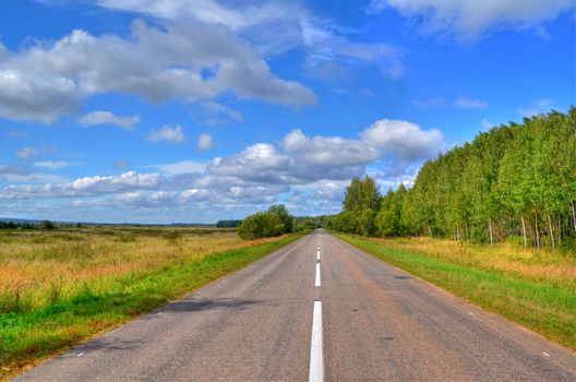 Road going along a birchwood, Moscow Region