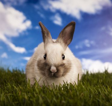 Happy Easter