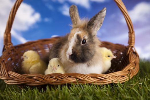 Happy Easter