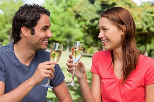 Two friends smiling as the look into each others eyes while they are holding glasses of champagne in a sunny park