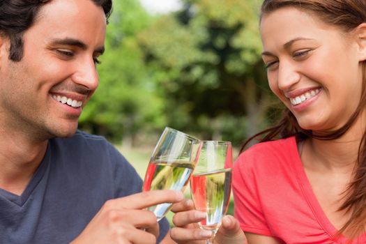 Two friends joyfully smiling as they touch glasses of champagne together in celebration in a sunny grassland area